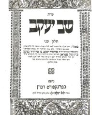 Auction 7 batch 4 #5b Shev Yaakov