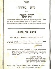 Auction 7 batch 5 #26b R. Yechezkel Landau Noda B’Yehuda Background
